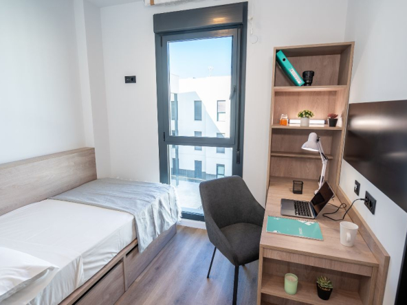 Residencias Para Estudiantes En Alicante